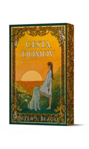 Cesta domov